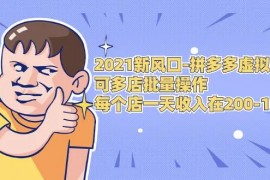 目标一个亿《拼多多虚拟店》