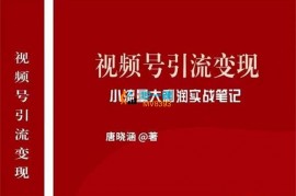 唐晓涵《视频号引流变现实战笔记》