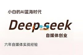 冰冰《普通人如何利用Deepseek创业》