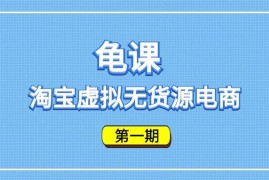 龟课《淘宝虚拟无货源电商第1期》