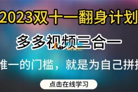 大橙《2023双十一翻身计划》