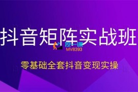 唯速网《抖音矩阵实战班》