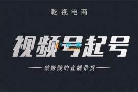 乾视电商《线性逻辑起号课程》