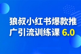 狼叔小红书爆款推广引流训练课6.0