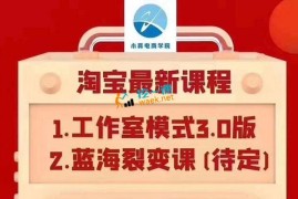 小真：电商淘宝无货源店群
