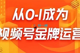 泽勇《从0-1成为视频号金牌运营》