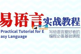 修行者《易语言综合性技术体系课》