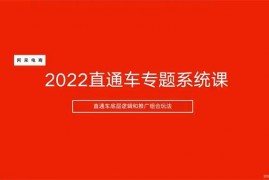 阿呆电商《2022直通车专题系统课》