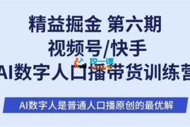 肖肖《第6期视频号快手AI数字人口播带货训练营》