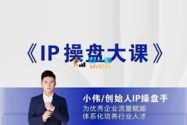 小伟《IP操盘手大课》