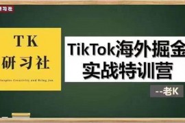 TK研习社《TikTok海外掘金实操特训营》