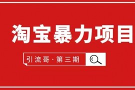 引流哥《淘宝暴力项目第3期》