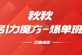 秋秋《引力魔方2.0爆单进阶班》