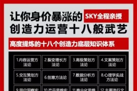 sky《身价暴涨创造力运营十八般武艺》