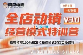 阿呆《全店动销经营模式特训营9月5-6号线下课录音》