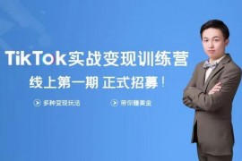 龟课《TikTok变现实战训练营线上第1期》