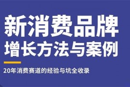 王岑《新消费品牌增长方法与案例》