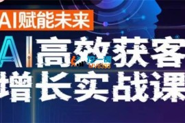 黄博《AI高效获客增长实战课》
