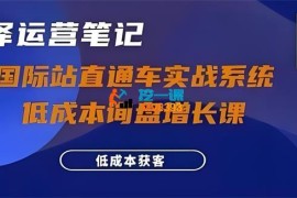 白泽《国际站直通车实战系统低成本询盘增长课》