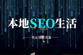 国哥《本地生活流量SEO》