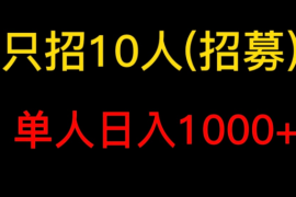 懒人领域《头条项目玩法教学》