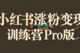 艾敏《小红书涨粉变现训练营Pro版》
