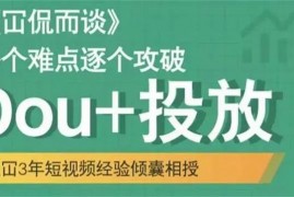 大冚《Dou+投放破局起号》