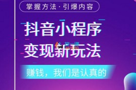 D1G馆长《抖音小程序变现新玩法》