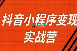 大兵《抖音小程序变现实战营》