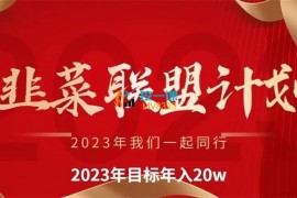 韭菜联盟《2023年带大家年入20W》