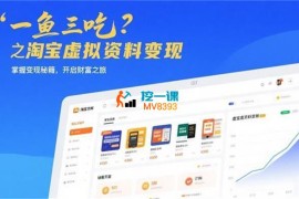 大兵《一鱼三吃之淘宝虚拟资料变现》