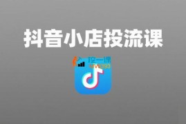 短视频带货小店投流课