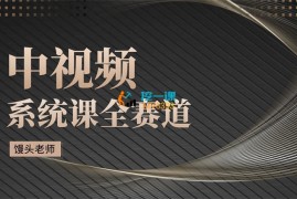 馒头老师《中视频系统课》