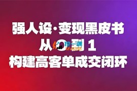 易辰《强人设变现黑皮书》