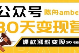 陈舟《公众号变现营第二期》