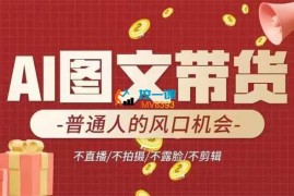 小智Ai《AI图文带货流量新趋势》