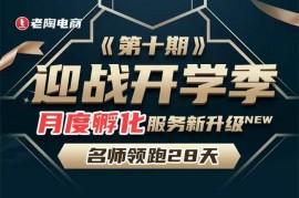 老陶《拼多多名师领跑28天第10期》