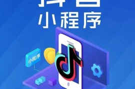 抖音小程序赚钱最新实战课程