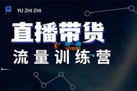 余只只《直播带货流量训练营》