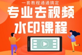 【专业去视频水印教程】静态水印、动态、文字、图片水印等
