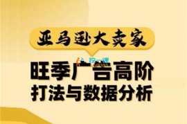 阿甘《亚马逊大卖家广告高阶打法与数据分析》