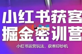 言若非《小红书获客掘金线下课》