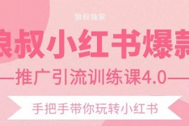 狼叔小红书爆款推广引流训练课4.0