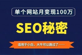 皇彬《单个网站月变现100万的SEO秘密》