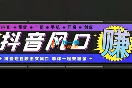 鑫莘《抖音图文带货教程14.0交付体系》