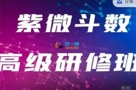 众筹：琪淼老师·紫微斗数高级研修班