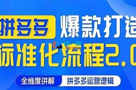 云杉《拼多多爆款打造标准化流程2.0》