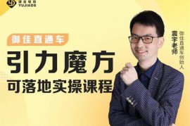 震宇《引力魔方落地实操课程》