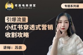 苏歆《小红书穿透式营销收割攻略》