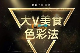 鹏城小黑《大V美食色彩法》